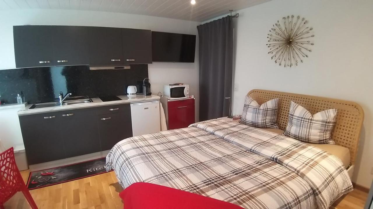 Beau Studio Avec Terrasse Et Vue Exclusivement Pour Non Fumeurs Бельмон-сюр-Лозанн Экстерьер фото
